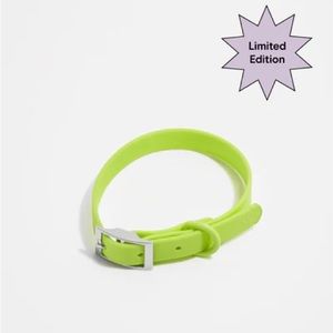 Wild One Dog Collar - Limeade